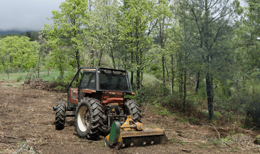 LAND CLEARING